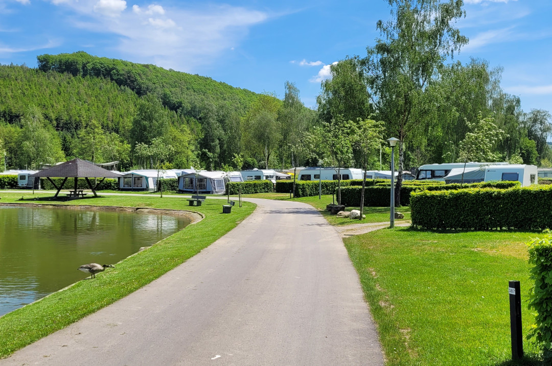 Kampeerplaatsen camping Ardenne België