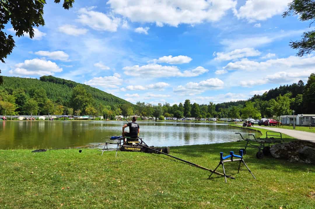 Viswinkels in de ardennen