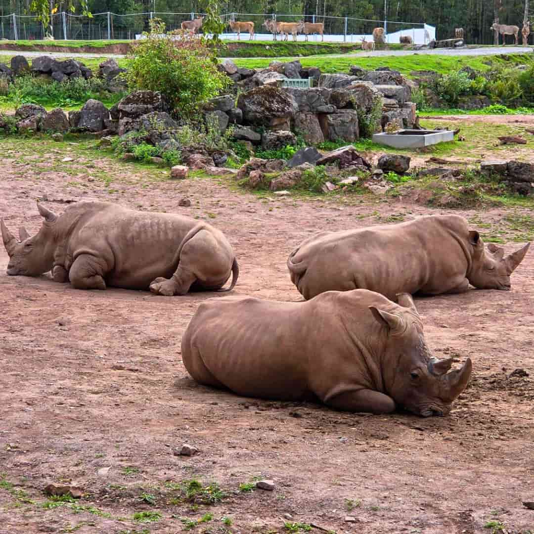 Le Monde Sauvage d’Aywaille