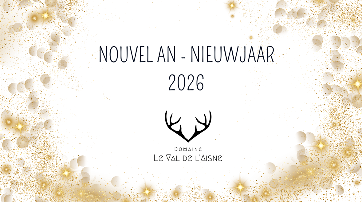 Oudejaarsavond in de Ardennen 2026-2027