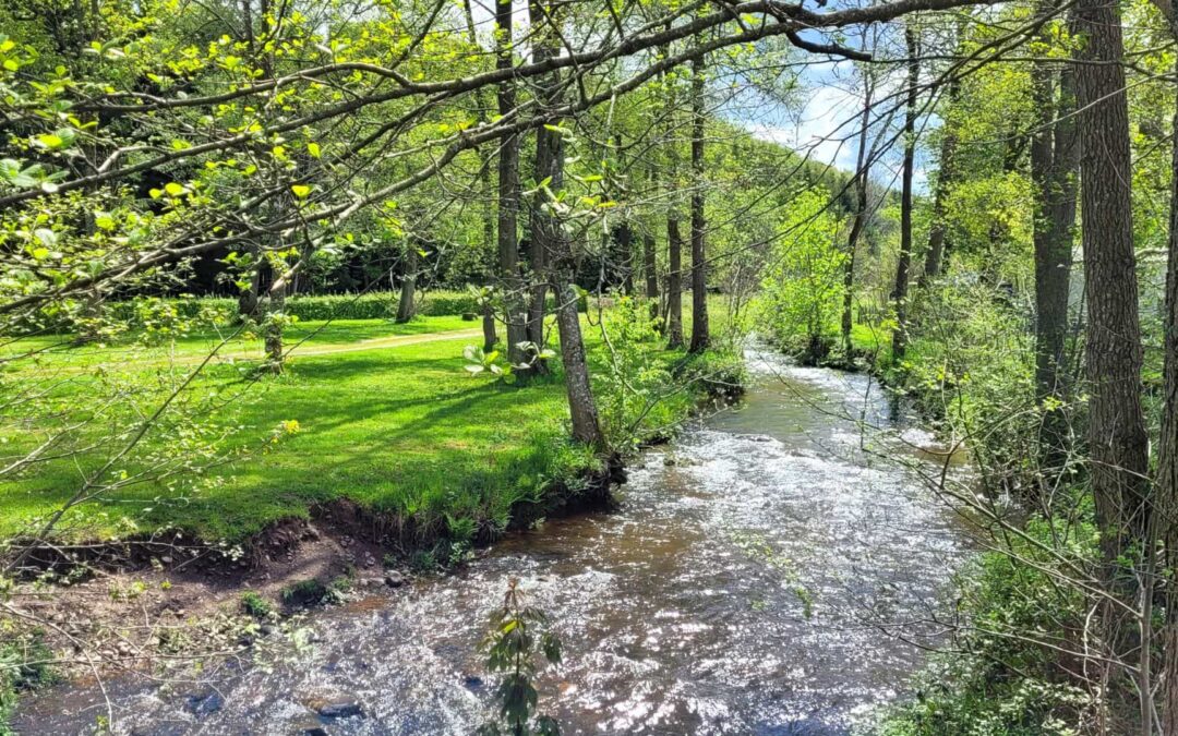 Où se baigner dans les Ardennes ? Rivières et piscines