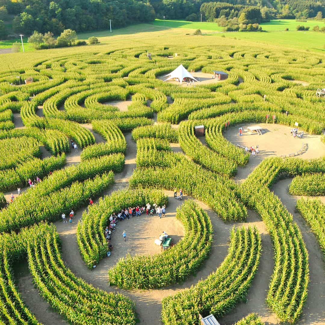 Le labyrinthe de Barvaux-sur-Ourthe