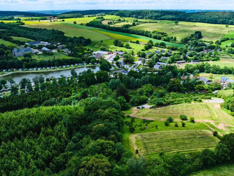 Souhaitez-vous visiter le vignoble de Blier avec un guide ?